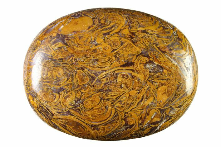 Polished Miriam Stone Palm Stone - India #342292